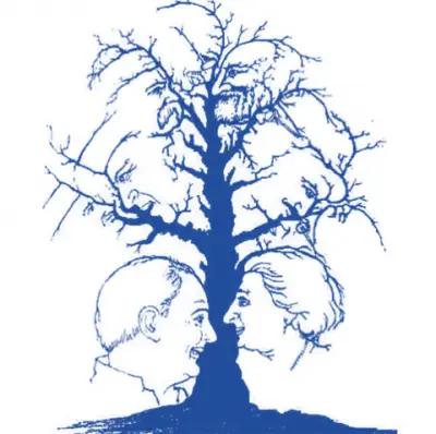 Quantos rostos consegue ver?