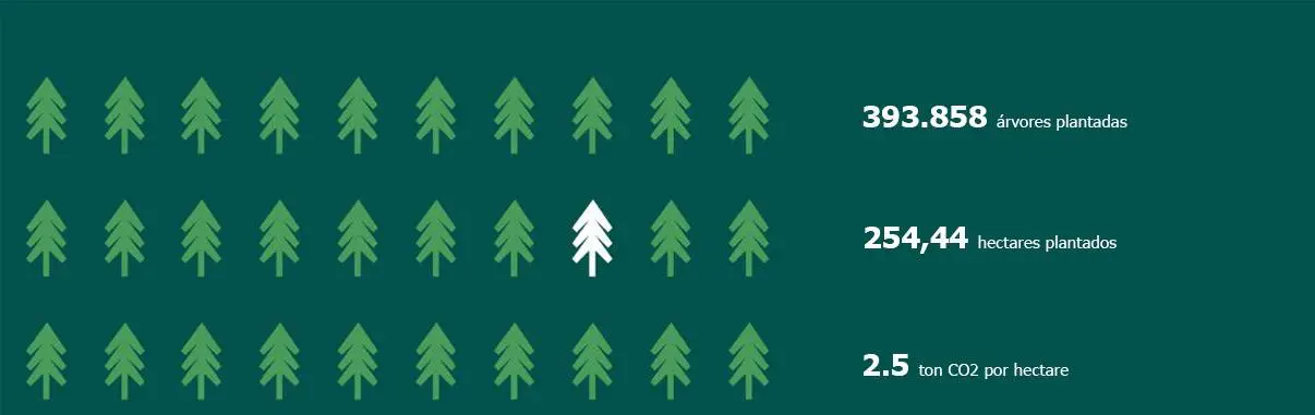 Descarbonização Lentes de Contacto 365